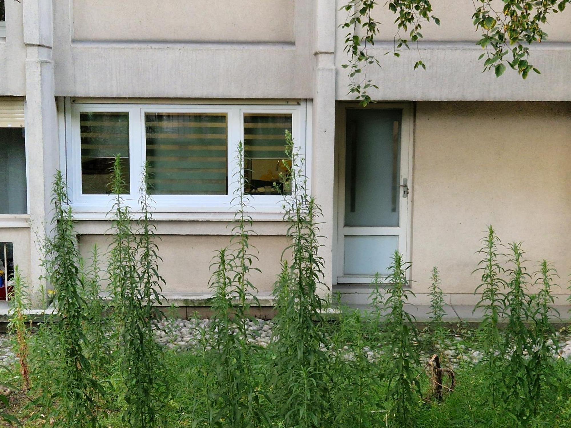 Comfortable Rooms For Working - Levallois Extérieur photo